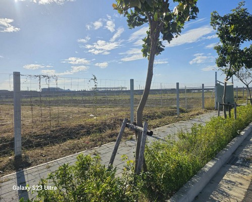 台南圍籬除草, 台南割草價格, 台南割草一坪多少錢?, 台南善化建地除草, 台南善化建地割草, 台南善化環境清理, 台南善化除草景觀工程, 台南善化重劃土地除草, 台南善化果樹農地除草, 台南善化園區空地除草, 台南善化除草鋸樹, 台南善化墓地清理, 台南善化道路除草, 
    	台南善化圍籬工程除草, 台南善化代客除草, 台南善化除(割)草作業, 台南善化割草, 台南善化除草, 台南善化割草整地, 台南善化除草整地, 台南善化空地除草價格, 台南善化除草工, 台南善化整地除草費用, 
        台南空地割草, 台南整地除草, 台南空地除草