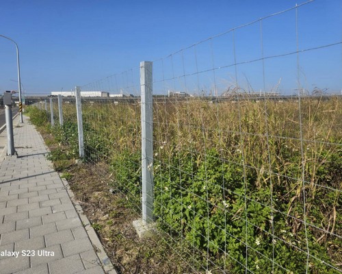 台南圍籬除草, 台南割草價格, 台南割草一坪多少錢?, 台南建地除草, 台南建地割草, 台南環境清理, 台南除草景觀工程, 台南重劃土地除草, 台南果樹農地除草, 台南園區空地除草, 台南除草鋸樹, 台南墓地清理, 台南道路除草, 
    	台南圍籬工程除草, 台南代客除草, 台南除(割)草作業, 台南割草, 台南除草, 台南割草整地, 台南除草整地, 台南空地除草價格, 台南除草工, 台南整地除草費用, 
        台南空地割草, 台南整地除草, 台南空地除草