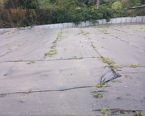 台南市空地割草, 台南市除草, 台南市空地除草, 台南市代客除草, 台南市除(割)草作業