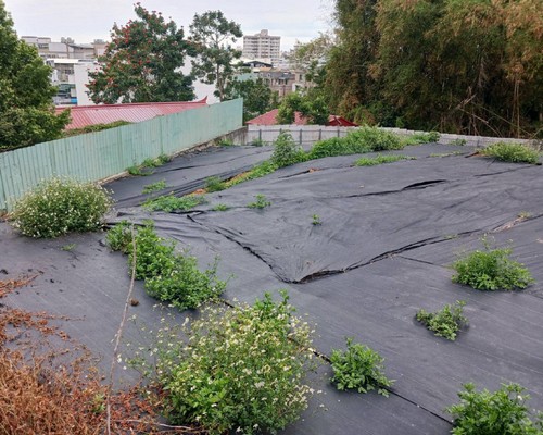 台南割草, 台南除草, 台南空地除草, 台南代客除草, 台南除(割)草作業