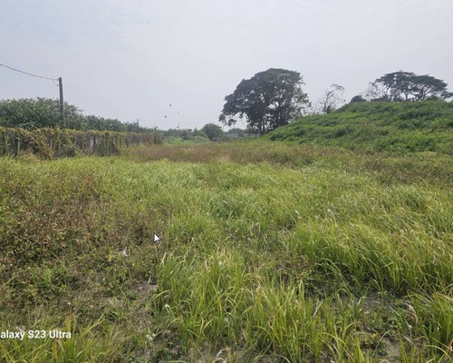 台南圍籬除草, 台南割草價格, 台南割草一坪多少錢?, 台南建地除草, 台南建地割草, 台南環境清理, 台南除草景觀工程, 台南重劃土地除草, 台南果樹農地除草, 台南園區空地除草, 台南除草鋸樹, 台南墓地清理, 台南道路除草, 
    	台南圍籬工程除草, 台南代客除草, 台南除(割)草作業, 台南割草, 台南除草, 台南割草整地, 台南除草整地, 台南空地除草價格, 台南除草工, 台南整地除草費用, 
        台南空地割草, 台南整地除草, 台南空地除草