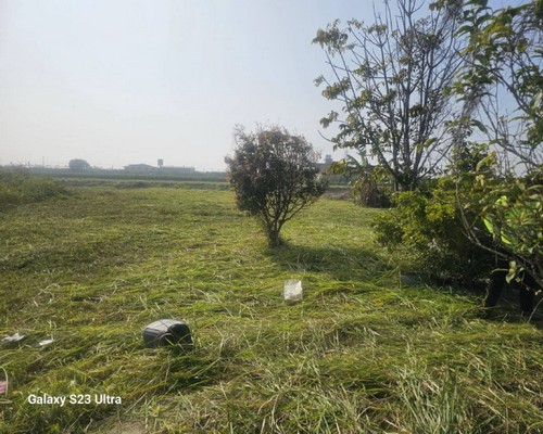 台南圍籬除草, 台南割草價格, 台南割草一坪多少錢?, 台南建地除草, 台南建地割草, 台南環境清理, 台南除草景觀工程, 台南重劃土地除草, 台南果樹農地除草, 台南園區空地除草, 台南除草鋸樹, 台南墓地清理, 台南道路除草, 
    	台南圍籬工程除草, 台南代客除草, 台南除(割)草作業, 台南割草, 台南除草, 台南割草整地, 台南除草整地, 台南空地除草價格, 台南除草工, 台南整地除草費用, 
        台南空地割草, 台南整地除草, 台南空地除草