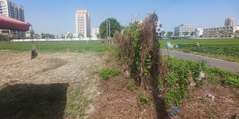 台南割草, 台南除草, 台南空地除草, 台南代客除草, 台南除(割)草作業