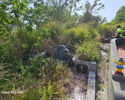 台南官田割草, 台南官田除草, 台南官田空地除草, 台南官田代客除草, 台南官田除(割)草作業