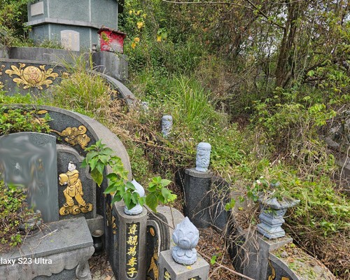 台南墓地除草, 台南墓園定期除草, 台南墓園除草, 台南割草, 台南除草, 台南割草整地, 台南除草整地, 台南代客除草, 台南空地除草價格, 台南除草工, 台南整地除草費用, 
        台南建地割草, 台南整地除草, 台南建地除草