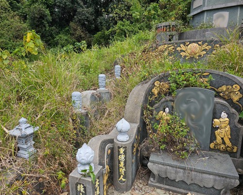 台南墓地除草, 台南墓園定期除草, 台南墓園除草, 台南割草, 台南除草, 台南割草整地, 台南除草整地, 台南代客除草, 台南空地除草價格, 台南除草工, 台南整地除草費用, 
        台南建地割草, 台南整地除草, 台南建地除草