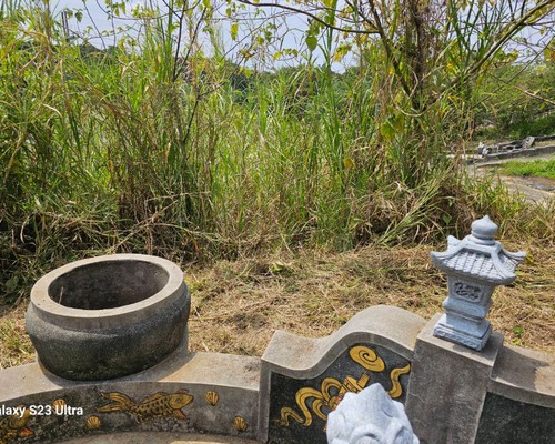 台南墓地除草, 台南墓園定期除草, 台南墓園除草, 台南割草, 台南除草, 台南割草整地, 台南除草整地, 台南代客除草, 台南空地除草價格, 台南除草工, 台南整地除草費用, 
        台南建地割草, 台南整地除草, 台南建地除草