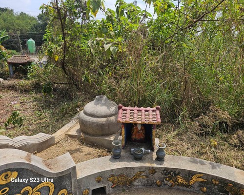 台南墓地除草, 台南墓園定期除草, 台南墓園除草, 台南割草, 台南除草, 台南割草整地, 台南除草整地, 台南代客除草, 台南空地除草價格, 台南除草工, 台南整地除草費用, 
        台南建地割草, 台南整地除草, 台南建地除草
