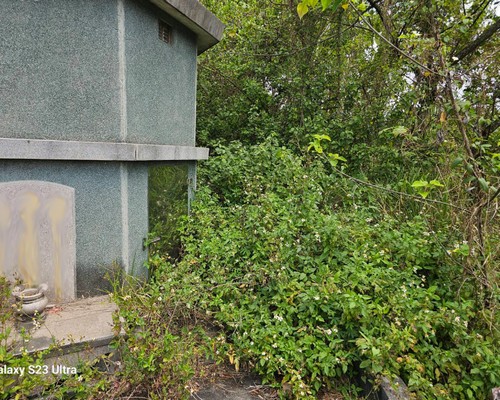 台南墓地除草, 台南墓園定期除草, 台南墓園除草, 台南割草, 台南除草, 台南割草整地, 台南除草整地, 台南代客除草, 台南空地除草價格, 台南除草工, 台南整地除草費用, 
        台南建地割草, 台南整地除草, 台南建地除草
