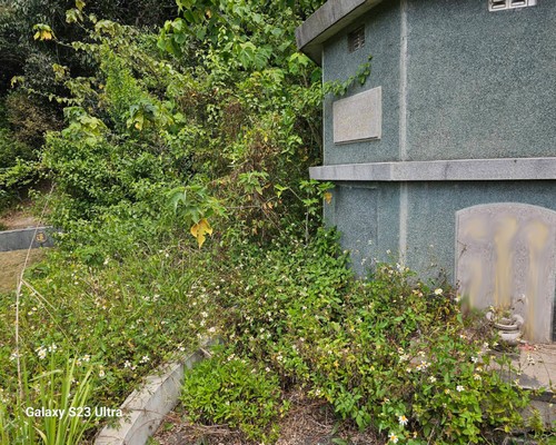 台南墓地除草, 台南墓園定期除草, 台南墓園除草, 台南割草, 台南除草, 台南割草整地, 台南除草整地, 台南代客除草, 台南空地除草價格, 台南除草工, 台南整地除草費用, 
        台南建地割草, 台南整地除草, 台南建地除草