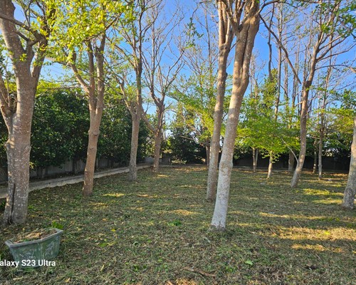 台南墓地除草, 台南墓園定期除草, 台南墓園除草, 台南割草, 台南除草, 台南割草整地, 台南除草整地, 台南代客除草, 台南空地除草價格, 台南除草工, 台南整地除草費用, 
        台南建地割草, 台南整地除草, 台南建地除草