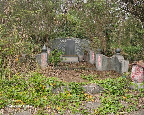 台南割草, 台南除草, 台南空地除草, 台南代客除草, 台南除(割)草作業