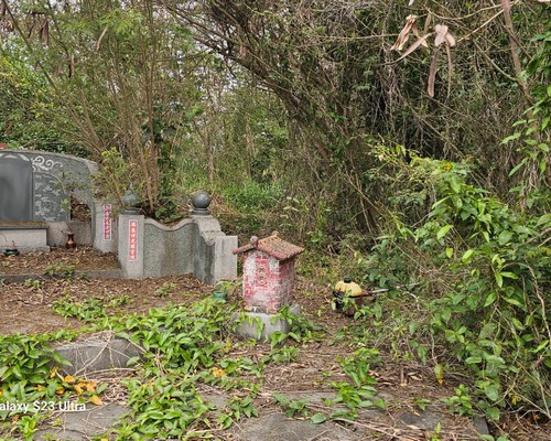 台南官田割草, 台南官田除草, 台南官田空地除草, 台南官田代客除草, 台南官田除(割)草作業