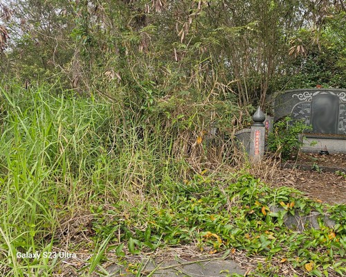 北門割草, 北門除草, 北門空地除草, 北門代客除草, 北門除(割)草作業