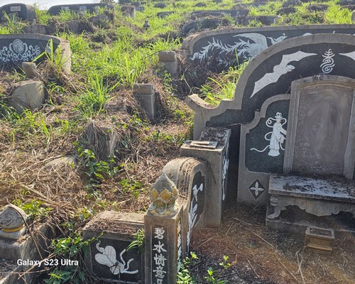 台南墓地除草, 台南墓園定期除草, 台南墓園除草, 台南割草, 台南除草, 台南割草整地, 台南除草整地, 台南代客除草, 台南空地除草價格, 台南除草工, 台南整地除草費用, 
        台南建地割草, 台南整地除草, 台南建地除草
