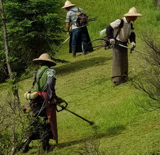 台南將軍區除草整地, 台南將軍區割草