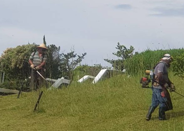 台南學甲庭園維護