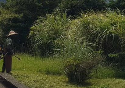 台南大內區割草, 台南大內區代客除草