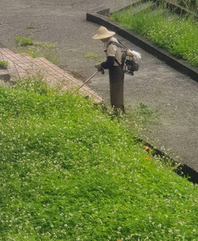 關廟樹木修剪, 關廟割草, 關廟庭園維護, 關廟園藝景觀設計