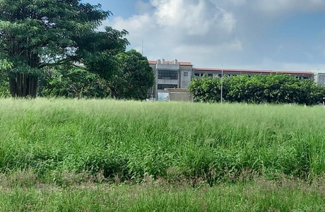 台南整地除草, 台南鋤草整地