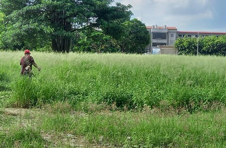 台南割草整地, 台南整地割草