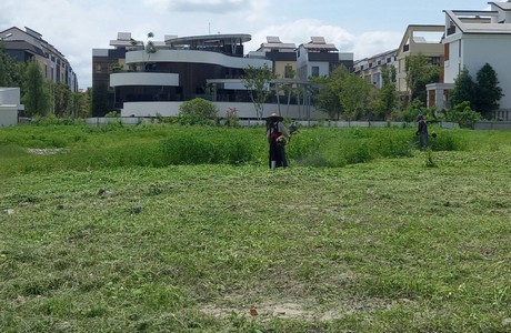 台南整地割草, 台南除草整地