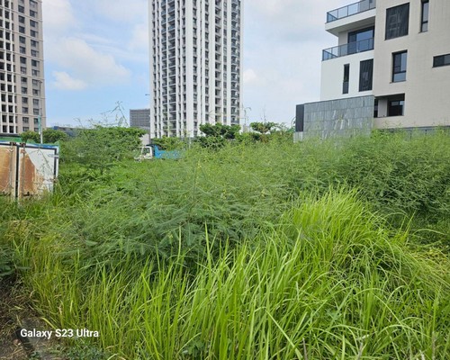 台南善化建地除草, 台南善化建地割草, 台南善化環境清理, 台南除草景觀工程, 台南善化代客除草, 台南善化除(割)草作業, 台南善化割草, 台南善化除草, 台南善化割草整地, 
                        台南善化除草整地, 台南善化空地除草價格, 台南善化除草工, 台南善化整地除草費用, 台南善化空地割草, 台南善化整地除草, 台南善化空地除草