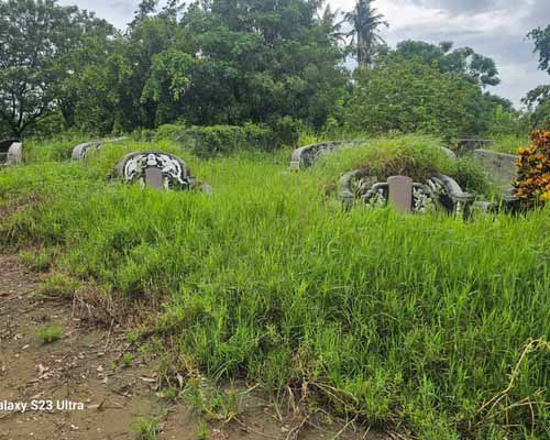 台南墓地除草, 台南墓園定期除草, 台南墓園除草, 台南環境清理, 台南除草景觀工程, 台南代客除草, 台南除(割)草作業, 台南割草, 台南除草, 台南割草整地, 
                        台南除草整地, 台南空地除草價格, 台南除草工, 台南整地除草費用, 台南空地割草, 台南整地除草, 台南空地除草