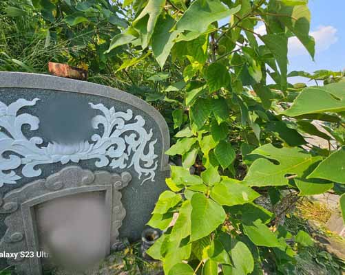 台南墓地除草, 台南墓園定期除草, 台南墓園除草, 台南環境清理, 台南除草景觀工程, 台南代客除草, 台南除(割)草作業, 台南割草, 台南除草, 台南割草整地, 
                        台南除草整地, 台南空地除草價格, 台南除草工, 台南整地除草費用, 台南空地割草, 台南整地除草, 台南空地除草