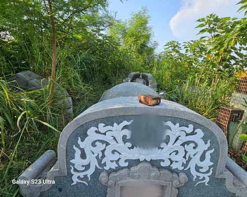 台南安平墓地除草, 台南安平墓園定期除草, 台南安平墓園除草, 台南安平環境清理, 台南安平除草景觀工程, 台南安平代客除草, 台南安平除(割)草作業, 台南安平割草, 台南安平除草, 台南安平割草整地, 
                        台南安平除草整地, 台南安平空地除草價格, 台南安平除草工, 台南安平整地除草費用, 台南安平空地割草, 台南安平整地除草, 台南安平空地除草