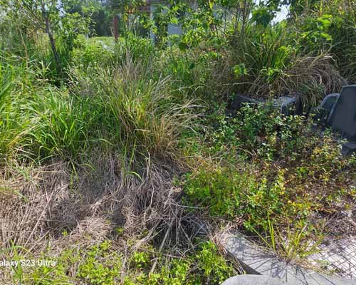 台南墓地除草, 台南墓園定期除草, 台南墓園除草, 台南環境清理, 台南除草景觀工程, 台南代客除草, 台南除(割)草作業, 台南割草, 台南除草, 台南割草整地, 
                        台南除草整地, 台南空地除草價格, 台南除草工, 台南整地除草費用, 台南空地割草, 台南整地除草, 台南空地除草