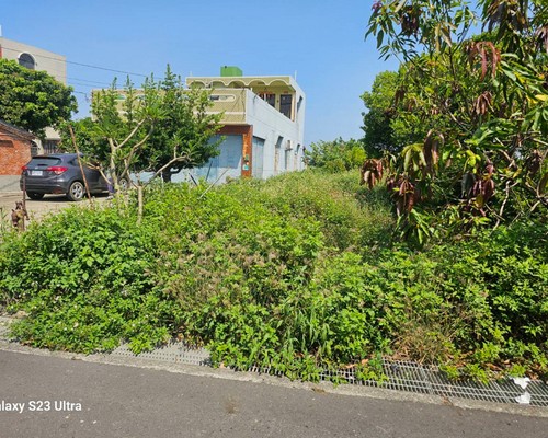 台南代客割草, 台南除草工程, 台南庭園修整, 台南清除雜樹, 台南草皮修剪, 台南花園整理, 台南樹木修剪, 台南除草, 台南砍樹, 台南修枝, 台南灌木修剪, 台南空地除草, 台南收草, 台南環境整理