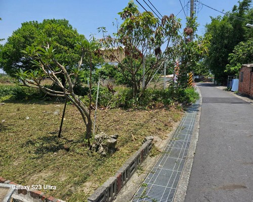 將軍區代客割草, 將軍區除草工程, 將軍區庭園修整, 將軍區清除雜樹, 將軍區草皮修剪, 將軍區花園整理, 將軍區樹木修剪, 將軍區除草, 將軍區砍樹, 將軍區修枝, 將軍區灌木修剪, 將軍區空地除草, 將軍區收草, 將軍區環境整理