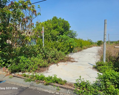 台南代客割草, 台南除草工程, 台南庭園修整, 台南清除雜樹, 台南草皮修剪, 台南花園整理, 台南樹木修剪, 台南除草, 台南砍樹, 台南修枝, 台南灌木修剪, 台南空地除草, 台南收草, 台南環境整理