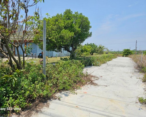 台南將軍區代客割草, 台南將軍區除草工程, 台南將軍區庭園修整, 台南將軍區清除雜樹, 
                                    台南將軍區草皮修剪, 台南將軍區花園整理, 台南將軍區樹木修剪, 台南將軍區除草, 台南將軍區砍樹, 台南將軍區修枝, 台南將軍區灌木修剪, 台南將軍區空地除草, 台南將軍區收草, 台南將軍區環境整理