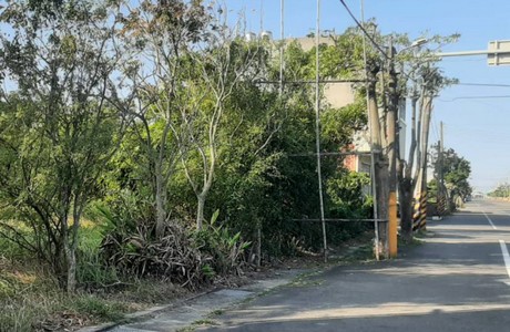 台南建地割草, 台南建地除草, 台南整地除草, 台南割草整地, 台南除草整地