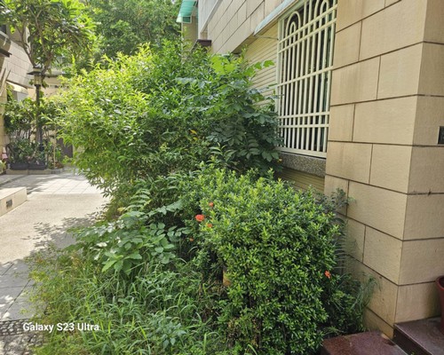 台南社區園藝維護, 台南除草施肥, 台南灌木修剪, 台南喬木修剪, 台南景觀園藝服務, 台南園藝維護, 台南社區綠化, 台南草皮維護服務, 
                        台南園藝景觀維護, 台南園藝造景廠商, 台南庭園維護公司