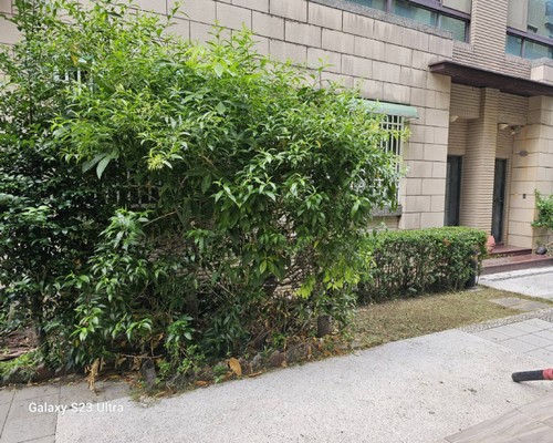 台南社區園藝維護, 台南除草施肥, 台南灌木修剪, 台南喬木修剪, 台南景觀園藝服務, 台南園藝維護, 台南社區綠化, 台南草皮維護服務, 
                        台南園藝景觀維護, 台南園藝造景廠商, 台南庭園維護公司