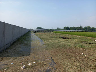 台南景觀工程, 台南景觀維護, 台南庭園維護