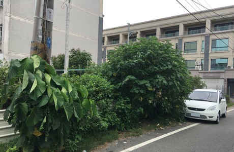 台南建地割草, 台南建地除草, 台南整地除草, 台南割草整地, 台南除草整地