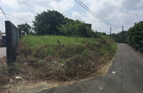 台南建地割草, 台南建地除草, 台南整地除草, 台南割草整地, 台南除草整地