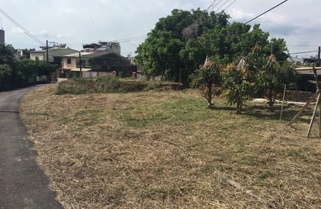 台南建地割草, 台南建地除草, 台南整地除草, 台南割草整地, 台南除草整地