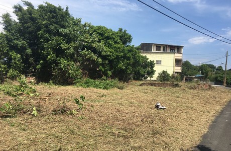 台南建地割草, 台南建地除草, 台南整地除草, 台南割草整地, 台南除草整地