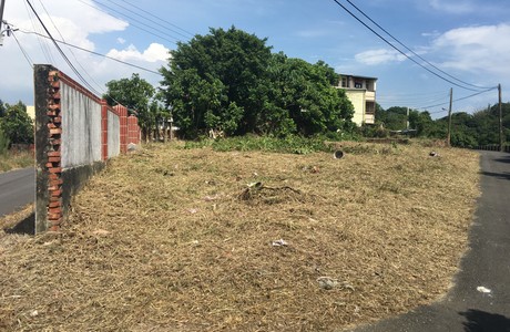 台南建地割草, 台南建地除草, 台南整地除草, 台南割草整地, 台南除草整地