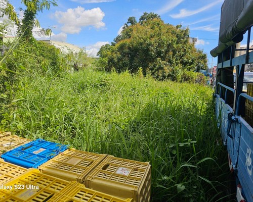 台南新市建地除草, 台南新市建地割草, 台南新市環境清理, 台南新市除草景觀工程, 台南新市代客除草, 台南新市除(割)草作業, 台南新市割草, 台南新市除草, 台南新市割草整地, 
                        台南新市除草整地, 台南新市空地除草價格, 台南新市除草工, 台南新市整地除草費用, 台南新市空地割草, 台南新市整地除草, 台南新市空地除草