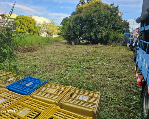 台南新市建地除草, 台南新市建地割草, 台南新市環境清理, 台南新市除草景觀工程, 台南新市代客除草, 台南新市除(割)草作業, 台南新市割草, 台南新市除草, 台南新市割草整地, 
                        台南新市除草整地, 台南新市空地除草價格, 台南新市除草工, 台南新市整地除草費用, 台南新市空地割草, 台南新市整地除草, 台南新市空地除草