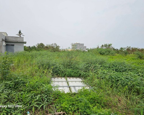 台南麻豆建地除草, 台南麻豆建地割草, 台南麻豆環境清理, 台南麻豆除草景觀工程, 台南麻豆代客除草, 台南麻豆除(割)草作業, 台南麻豆割草, 台南麻豆除草, 台南麻豆割草整地, 
                        台南麻豆除草整地, 台南麻豆空地除草價格, 台南麻豆除草工, 台南麻豆整地除草費用, 台南麻豆空地割草, 台南麻豆整地除草, 台南麻豆空地除草