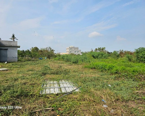 台南麻豆建地除草, 台南麻豆建地割草, 台南麻豆環境清理, 台南麻豆除草景觀工程, 台南麻豆代客除草, 台南麻豆除(割)草作業, 台南麻豆割草, 台南麻豆除草, 台南麻豆割草整地, 
                        台南麻豆除草整地, 台南麻豆空地除草價格, 台南麻豆除草工, 台南麻豆整地除草費用, 台南麻豆空地割草, 台南麻豆整地除草, 台南麻豆空地除草