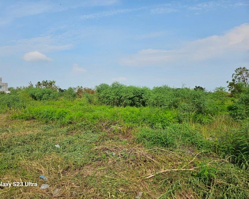 台南建地除草, 台南建地割草, 台南環境清理, 台南除草景觀工程, 台南代客除草, 台南除(割)草作業, 台南割草, 台南除草, 台南割草整地, 
                        台南除草整地, 台南空地除草價格, 台南除草工, 台南整地除草費用, 台南空地割草, 台南整地除草, 台南空地除草