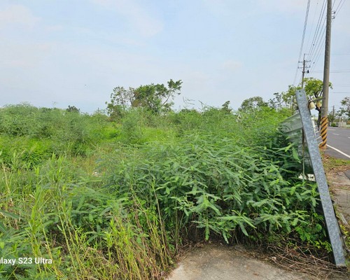 台南麻豆建地除草, 台南麻豆建地割草, 台南麻豆環境清理, 台南麻豆除草景觀工程, 台南麻豆代客除草, 台南麻豆除(割)草作業, 台南麻豆割草, 台南麻豆除草, 台南麻豆割草整地, 
                        台南麻豆除草整地, 台南麻豆空地除草價格, 台南麻豆除草工, 台南麻豆整地除草費用, 台南麻豆空地割草, 台南麻豆整地除草, 台南麻豆空地除草